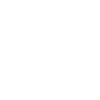 White logo with the stylized text Rôll’d above the word Vietnamese on a light grey background.